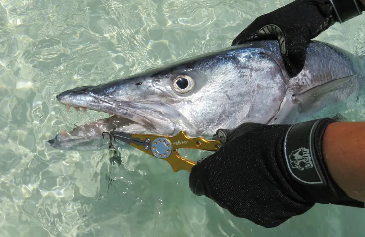 Angler entfernt den Haken von einem gefangenen Fisch.