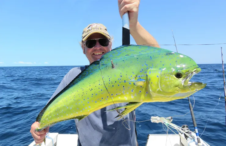 Angler auf einem Boot präsentiert einen grünen Fisch.