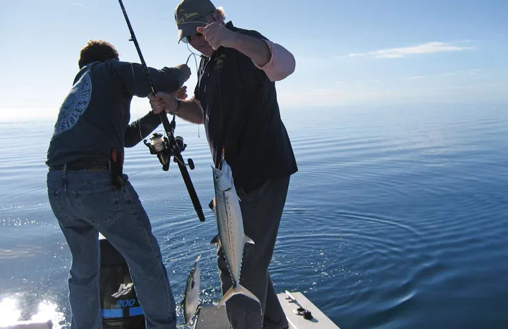 Zwei Angler hantieren mit einer Angel auf einem Boot.