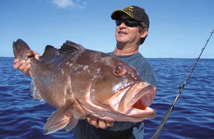 Angler präsentiert einen bräunlichen Salzwasserfisch.